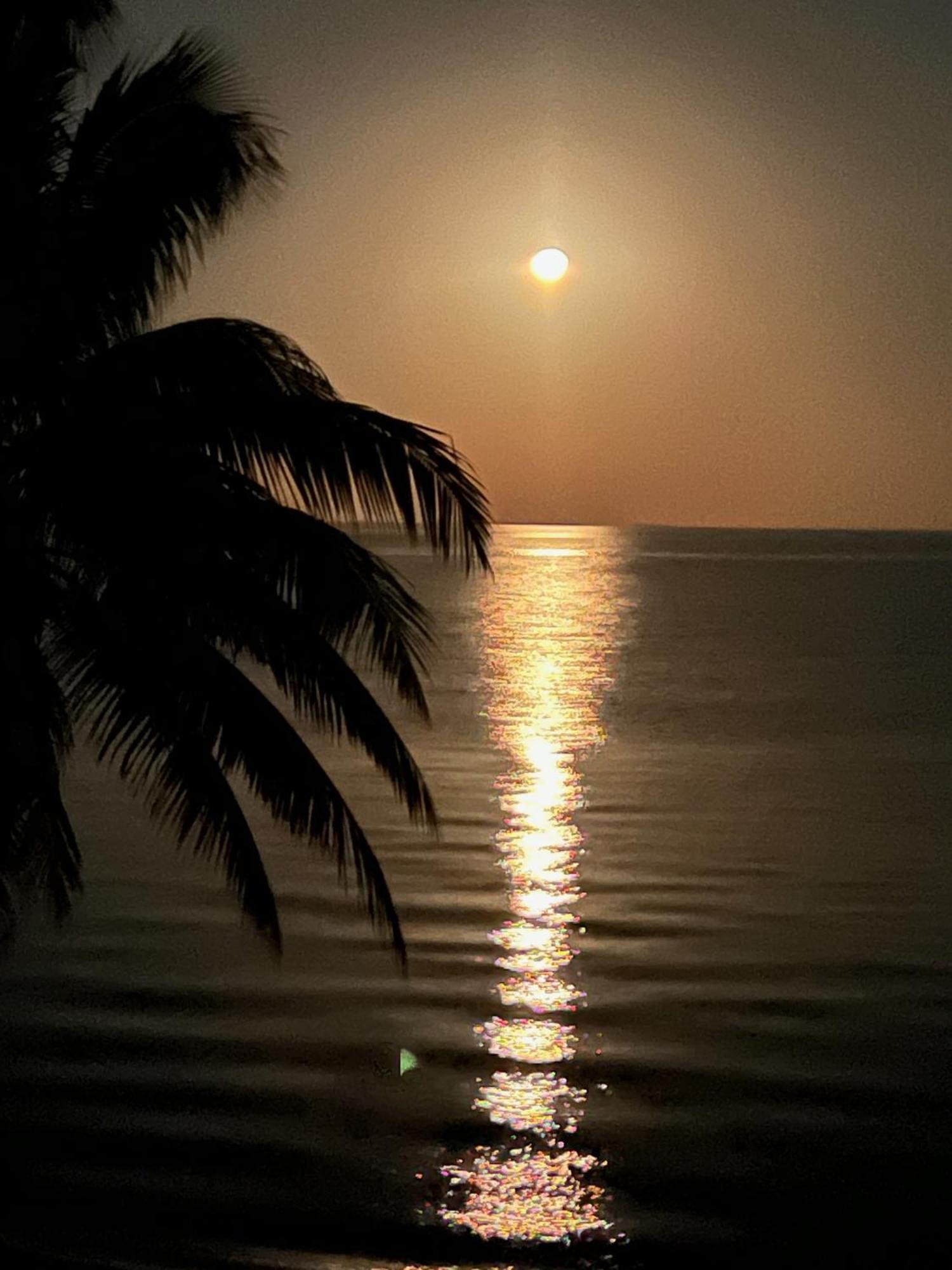 Willa Bella Sway Belize Maya Beach Zewnętrze zdjęcie